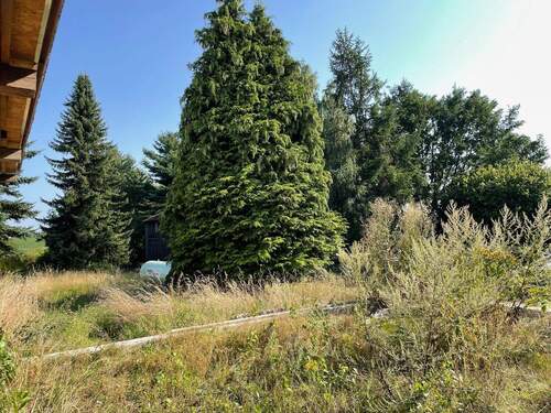 Garten mit vorbereiteter Terrasse - 