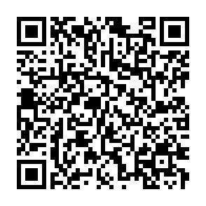 QR-Code - 