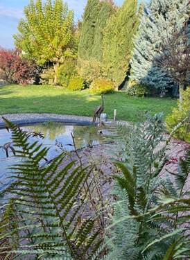 Bild 3 - Einfamilienhaus in Bad Bellingen
