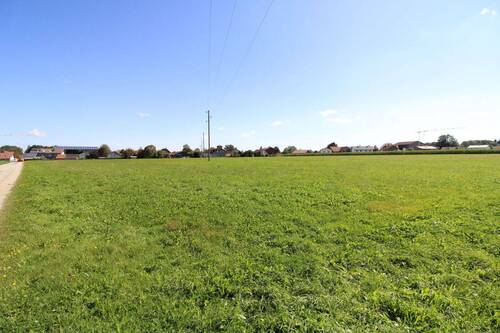 Grünland - Grundstück zum Kaufen in Unteregg