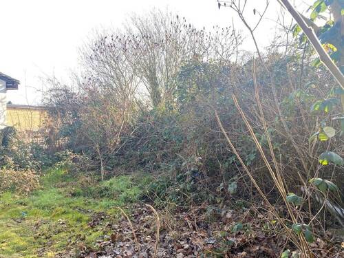 verwildertes Grundstück - **Gewerbegrundstück mit Potenzial - 927 m² in Stavenhagen**