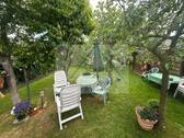 Baumbestand - 