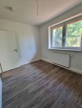 Bild 6.jpg - 