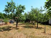 Obstgarten hinter dem Haus - 