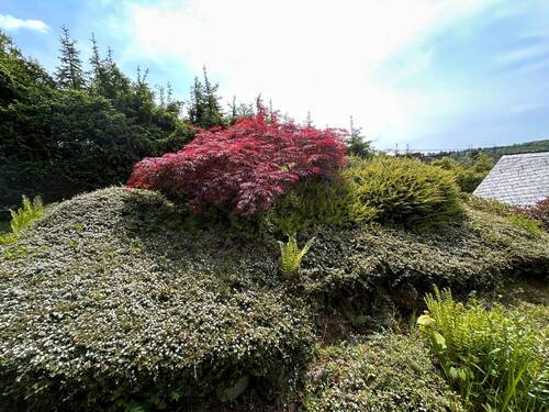 Garten - 