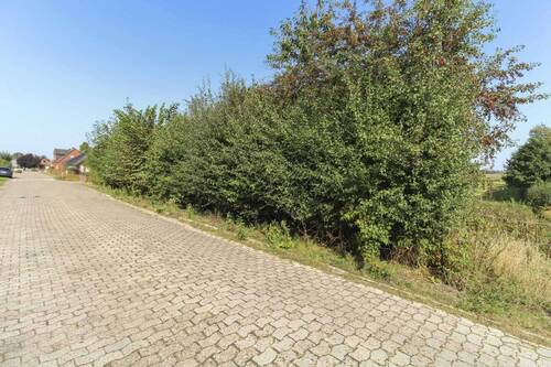 Grundstück - Erfüllen Sie sich Ihren Traum vom Neubau! Grundstück mit Feldrandlage in der Nähe des Kreidesees