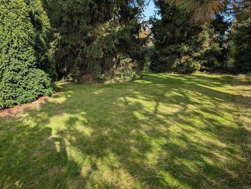 Garten am Haus - 6 Zimmer Doppelhaushälfte in Lutherstadt Wittenberg