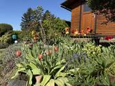 Garten - 