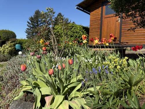 Garten - 
