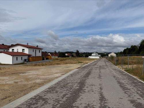 processed-D3E8B26C-F683-4B6C-8830-98DE0495DAB3 - 