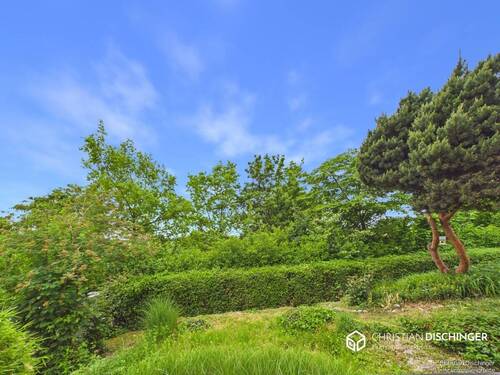 Garten - 