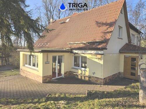 Bild 16 - 