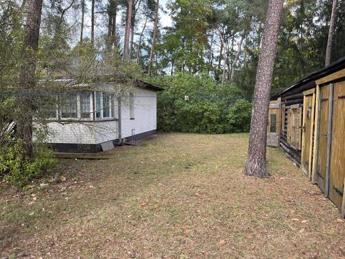 42586671-Bungalow und Schuppen - 