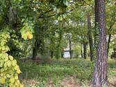 Blick von der Straße - 