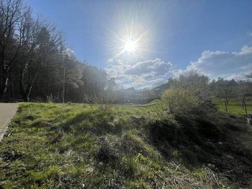 Bild2 - Grundstück zum Kaufen in Blankenburg