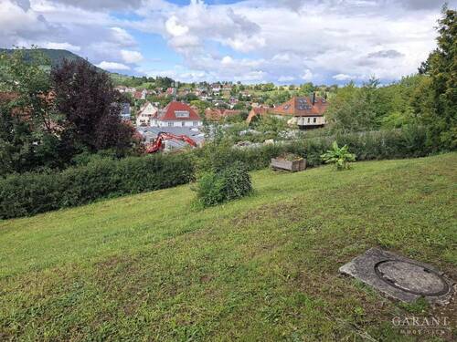 leichte Hangwiesengarten - 