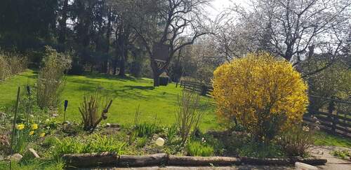 20210420_144808.jpg - 