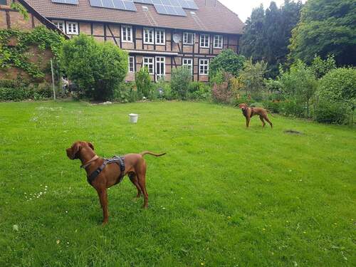 20220524_110251.jpg - 