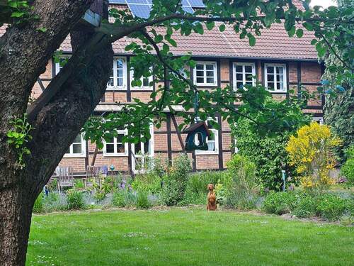 20250515_151826.jpg - 