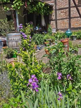 20250526_115455.jpg - 