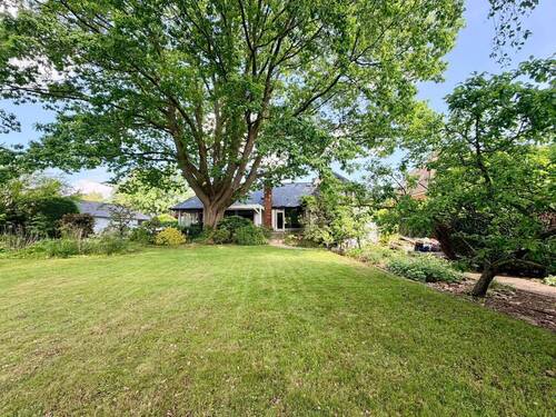 Garten - 