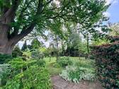 Gartenanlage - 