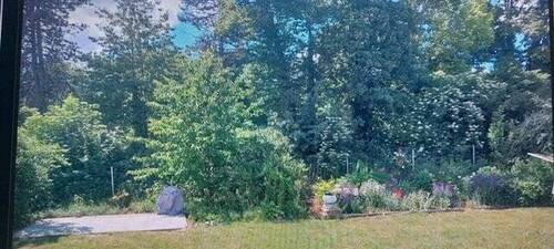 sehr schöner Garten lädt zum Grillen ein - 