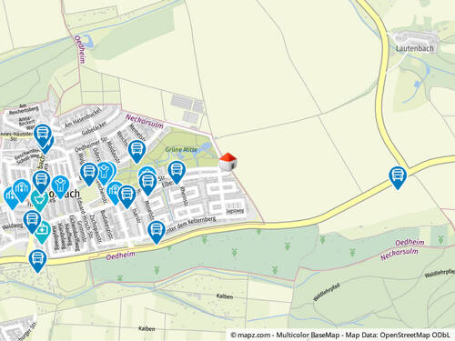 Geolyzer Kartenausschnitt - 