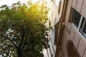 Adolfstr. 22,24,26 - TMZ_4652.jpg - Frisch sanierte 3-Zimmer-Wohnung mit Balkon und Altbaucharme in Bremerhaven-Lehe!