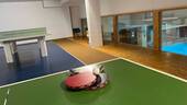 Tischtennisraum - 