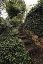 Treppe zur Terrasse - 