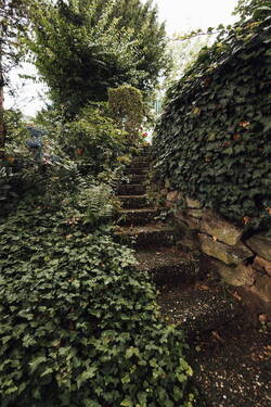 Treppe zur Terrasse - 