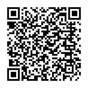 QR-Code - 