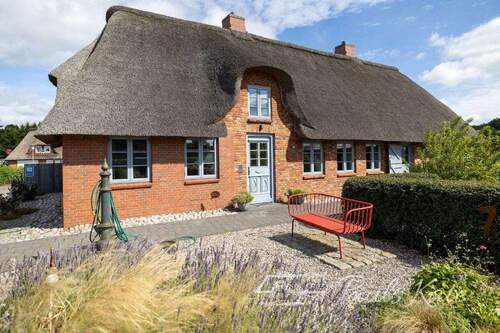 Pauls Kate Südseite mit Garten - 