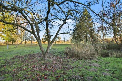 Grundst?ck perfekt f?r Nutztiere - 