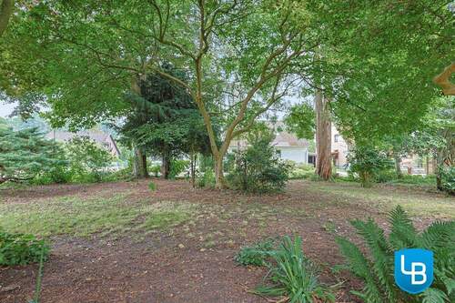 Großer Garten mit altem Baumbestand - 