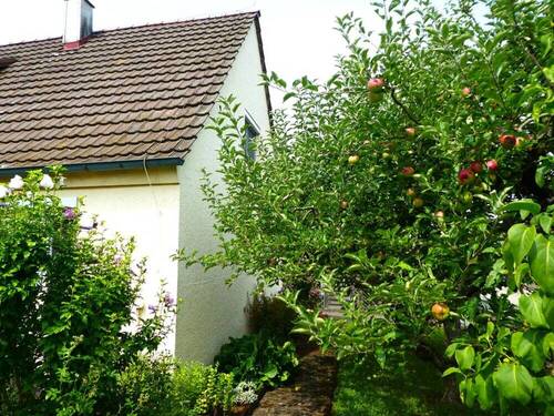 Garten - 5 Zimmer Einfamilienhaus zum Kaufen in Bietigheim-Bissingen