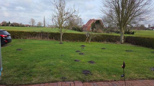 Garten - 