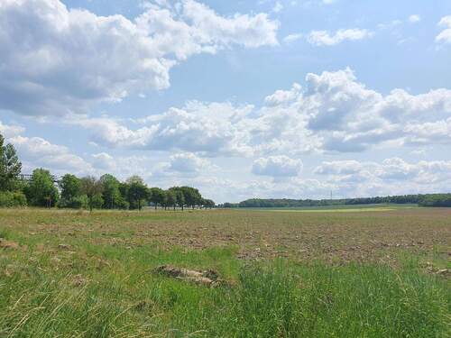 Salder_2.jpg - Bungalow mit 133,00 m&sup2; in Salzgitter zum Kaufen