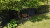 Sitzplatz - 