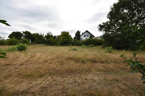 öffentliche Wiese direkt hinter Grundstück - 