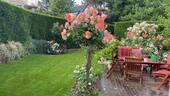 Garten - 