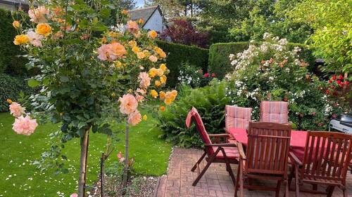 Garten mit Terrasse - 