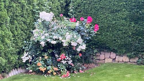Garten - 