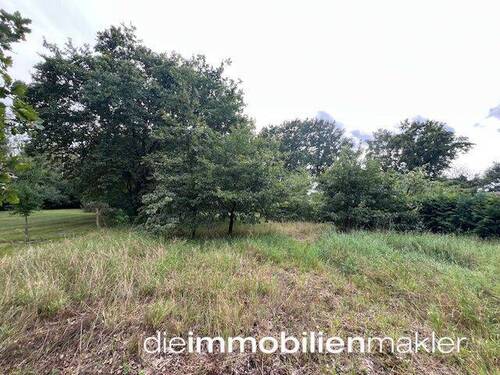 Grundstück - Grundstück zum Kaufen in Lübben (Spreewald)