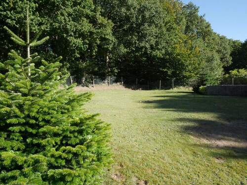 Gartenbereich - 