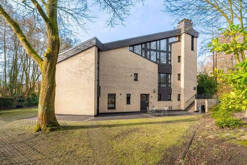 umgeben von Bäumen - 