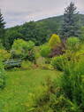 Garten, unterer Teil - 