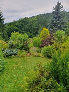 Garten, unterer Teil - 