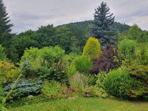 Garten, Mitte - 
